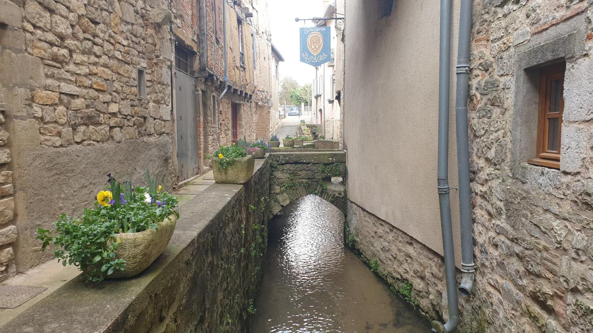 Seuls En Pleine Nature - Gite La Cote Blanche Puygaillard-de-Quercy Luaran gambar