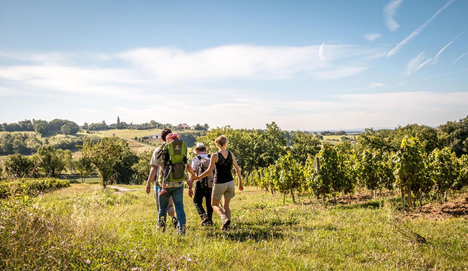 Seuls En Pleine Nature - Gite La Cote Blanche Puygaillard-de-Quercy Luaran gambar